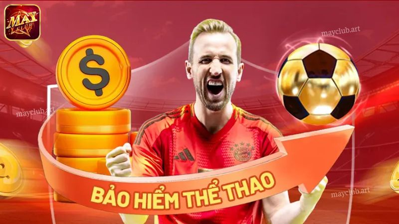 Các trường hợp miễn trừ trách nhiệm Mayclub