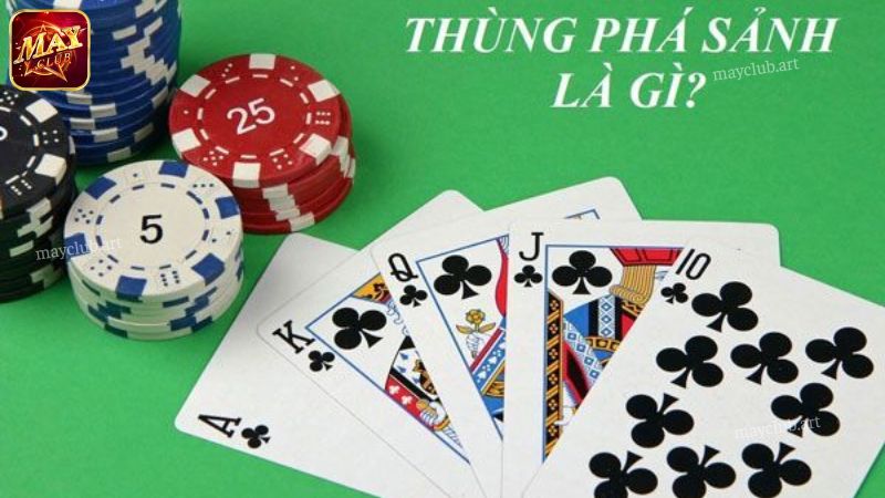 Lưu ý cần nhớ khi sử dụng thùng phá sảnh tại Mayclub