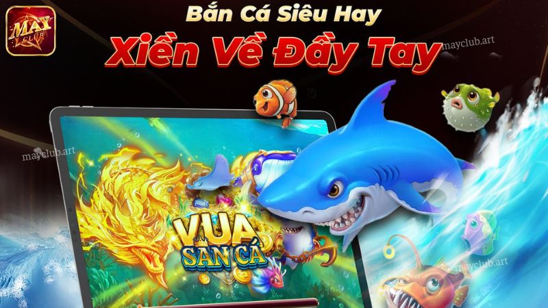 Tải tool hack bắn cá H5 leo rank top cực nhanh