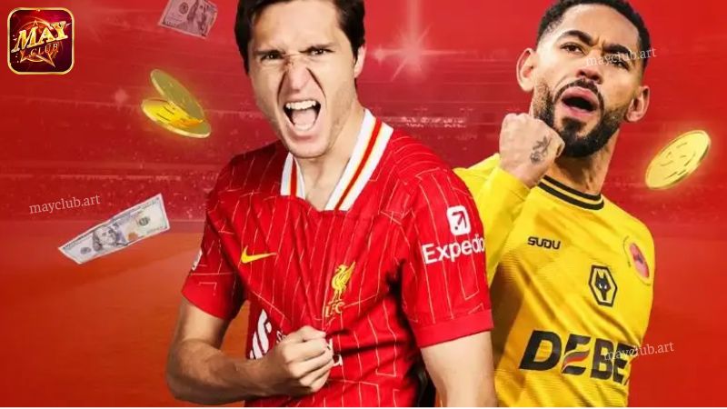 Sơ lược chế độ đại lý hấp dẫn tại Mayclub